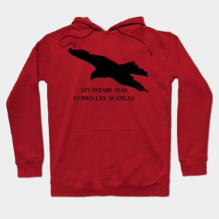 fly like eagle Hoodie